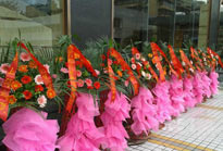 開業(yè)花籃
